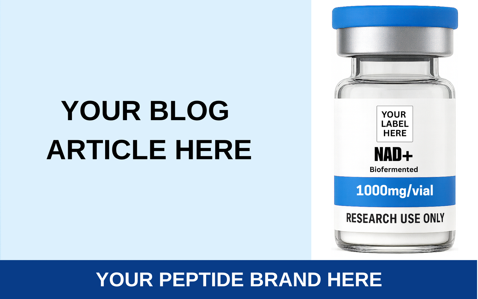 Your Blog Article Here